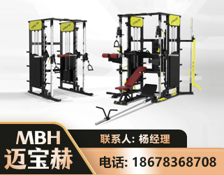 迪庆多功能综合训练器