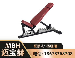 迪庆可调哑铃椅